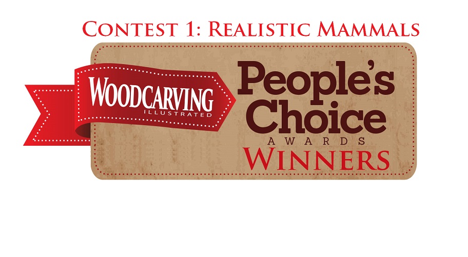 The Votes are in for the First WCI People’s Choice Contest 2016