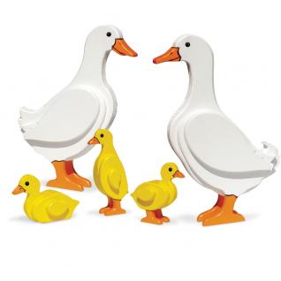 Lawn-Roaming Duck Family