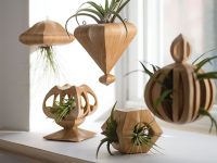 How to Make Simple Wooden Air Plant Holders