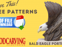 FREE Pattern: Carve This Bald Eagle Portrait