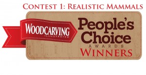 The Votes are in for the First WCI People’s Choice Contest 2016