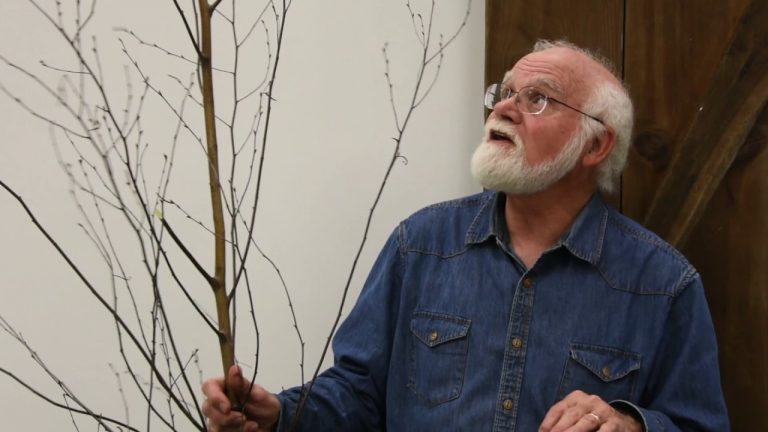 Whittling with Chris: Choosing Wood