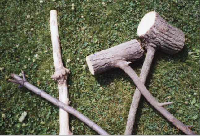 Wood Carving Walking Sticks, Tree Species